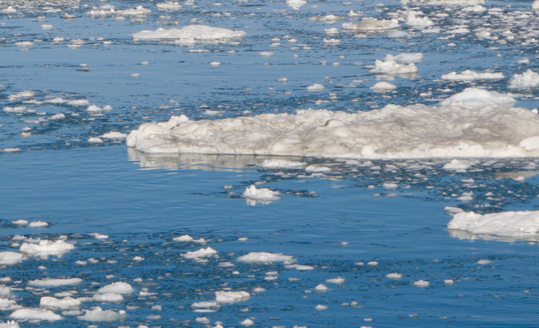El plástico ya invade el océano Ártico